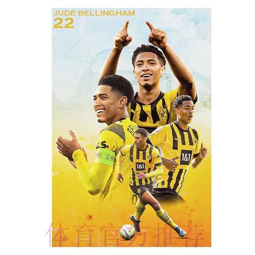 2026世界杯荷兰贝林厄姆晋级分析权威解读