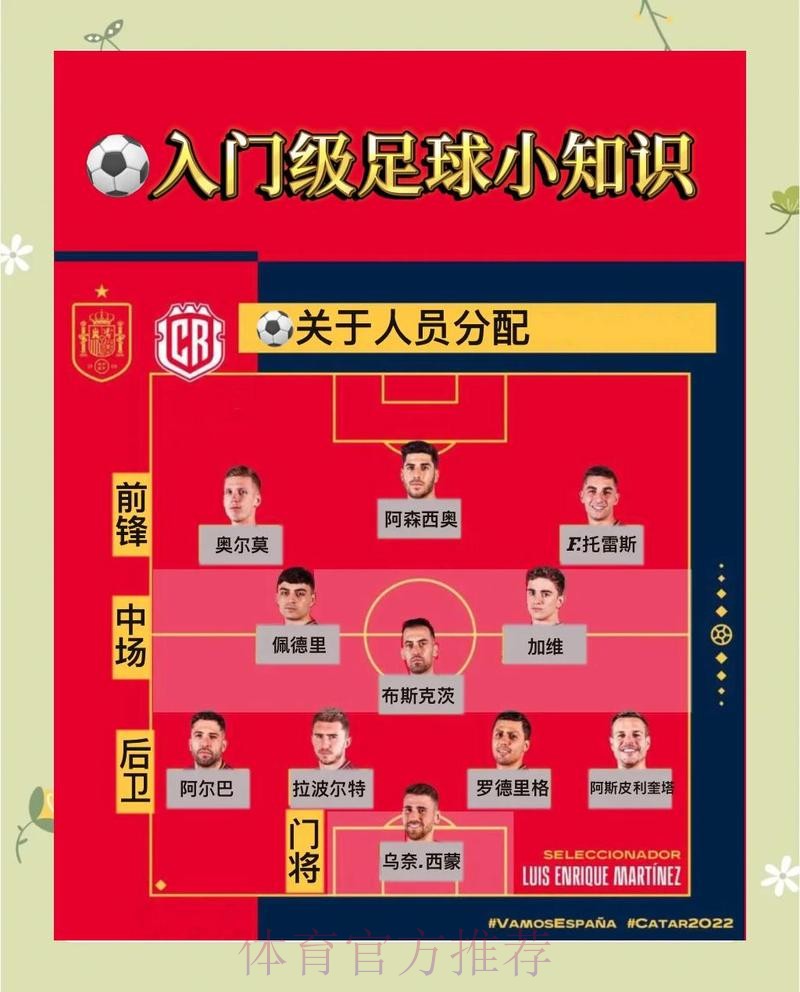 世界杯比利时贝林厄姆比赛解读完整指南