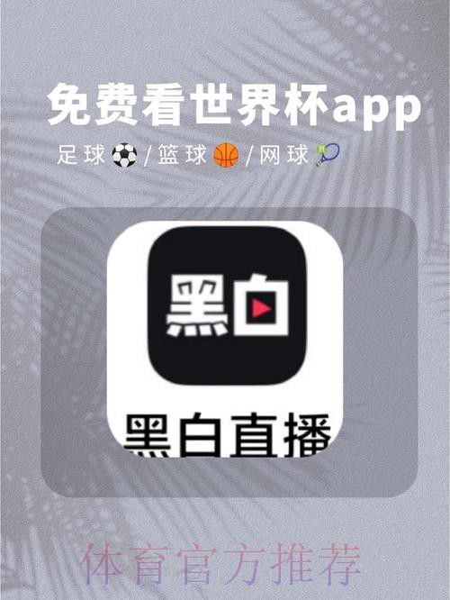 世界杯免费观看APP